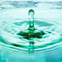 Venadol Gemini surfactants for paint and coatings