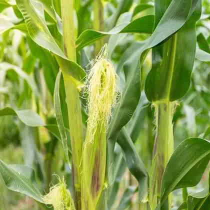 ENVIRONMENT-HEALTH&SAFETY